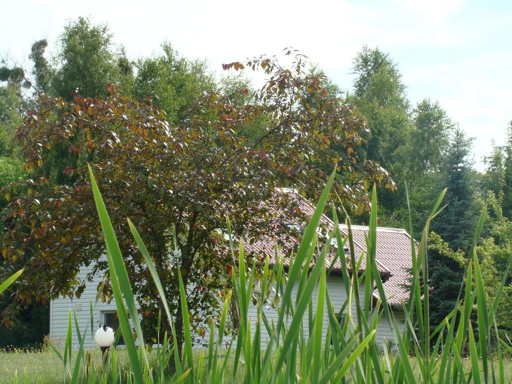 Bed and Breakfast Bobrowa Dolina Ryn  Habitación foto