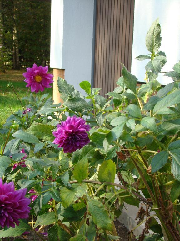 Bed and Breakfast Bobrowa Dolina Ryn  Exterior foto