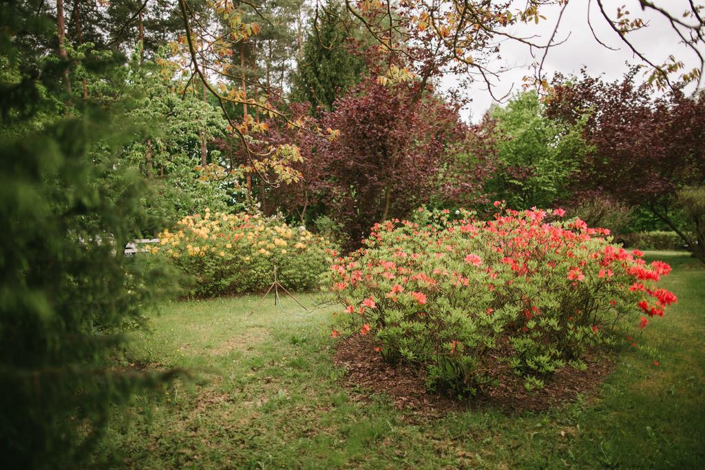 Bed and Breakfast Bobrowa Dolina Ryn  Exterior foto